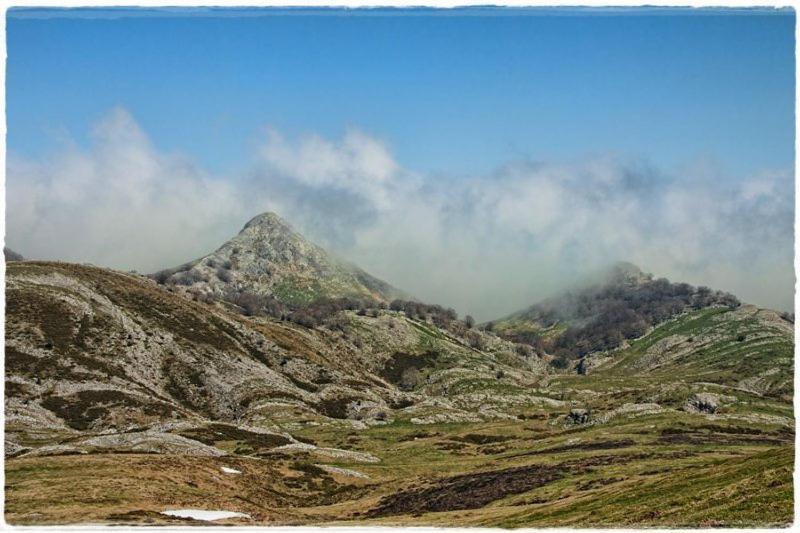 Hostal Rural Elosta Lekunberri Dış mekan fotoğraf