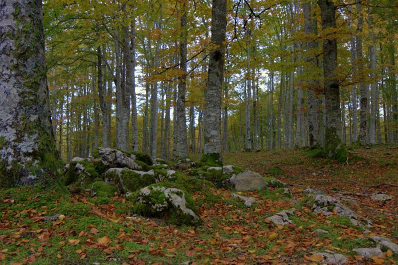 Hostal Rural Elosta Lekunberri Dış mekan fotoğraf