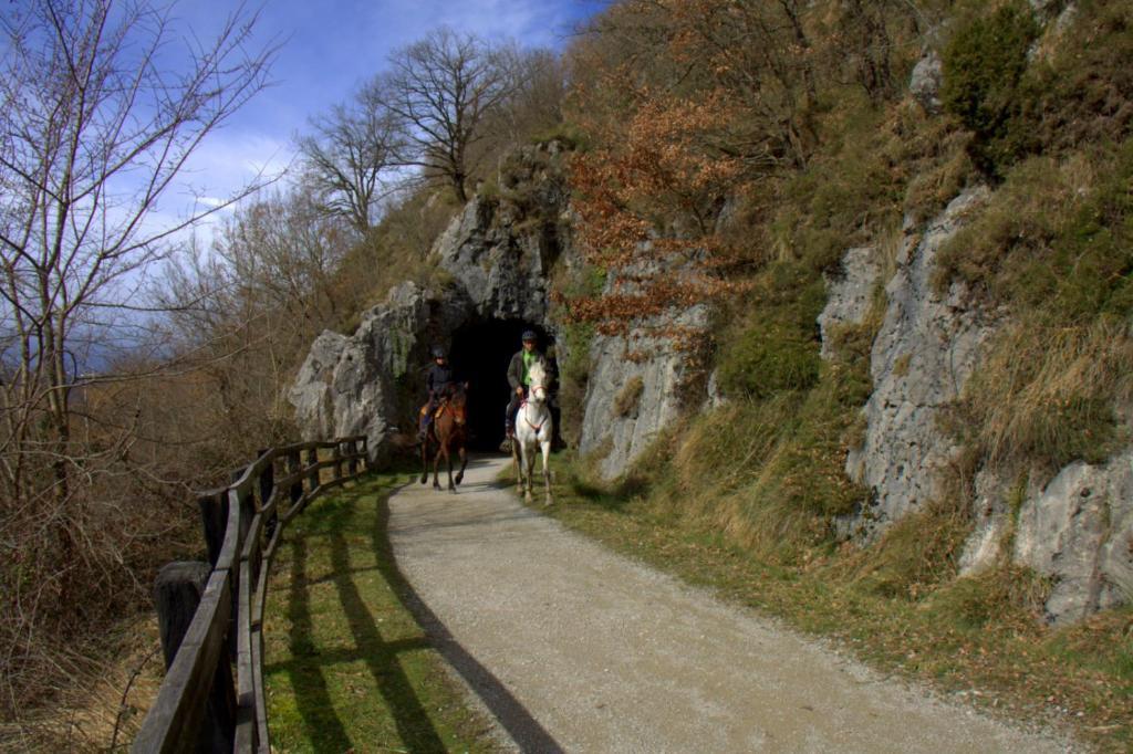 Hostal Rural Elosta Lekunberri Dış mekan fotoğraf